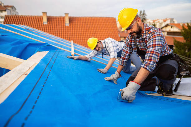 Best Best Roofing Contractors  in Hillsboro, WI