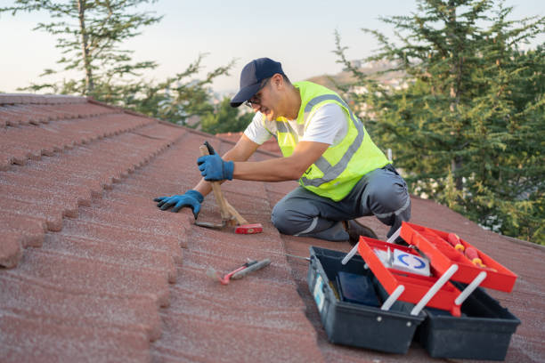 Professional Roofing Contractor in Hillsboro, WI